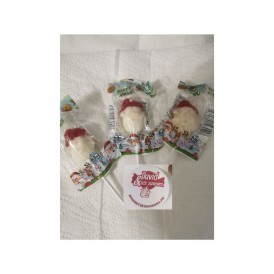 Confiserie sucette à sucre cuit Marque Sugar’s Magic Sucette santa pop