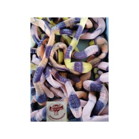 Confiserie gélifiée gélatine Marque Vidal Serpent géant au goût fruits 2