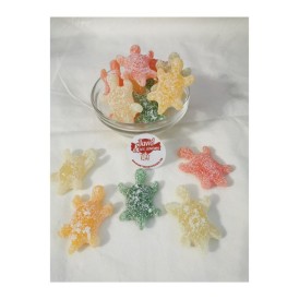 Confiserie gélatine acidulée Marque Geldhof Tortue citrique multicolor 2