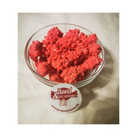 Confiserie sucre cuit croquant Marque Auzier Chabernac Pralines rouge.
