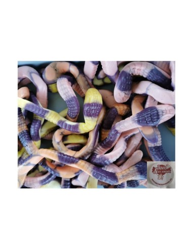 Confiserie gélifiée marque Trolli Serpent python davidetsessaveurs.fr.