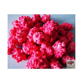 Confiserie sucre cuit croquant Marque Auzier Chabernac Pralines rouge.