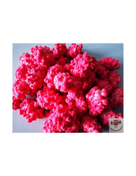 Confiserie sucre cuit croquant Marque Auzier Chabernac Pralines rouge.