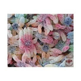 Confiserie gélifiée acidulée Marque Fini Joubini citrique Multicolore.