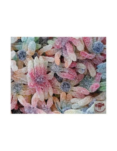 Confiserie gélifiée acidulée Marque Fini Joubini citrique Multicolore.