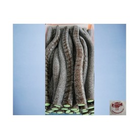 Confiserie acidulée fourrée aux fruits Marque Damel Jumbo cola acidulé