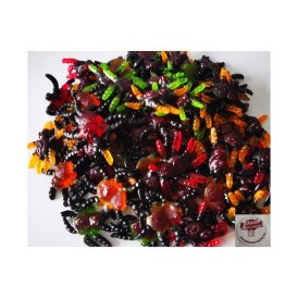 Confiserie gélifiée gélatine Marque Trolli Tarentule davidetsessav....