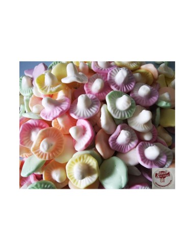 Champignons Aux Fruits