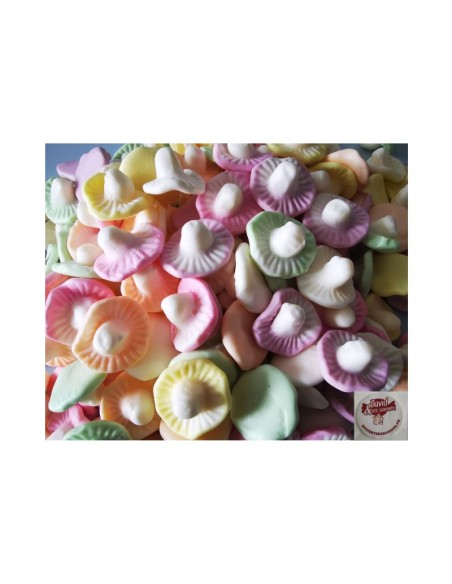 Champignons Aux Fruits