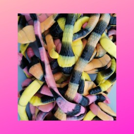 Confiserie gélifiée marque Trolli Serpent python davidetsessaveurs.fr.