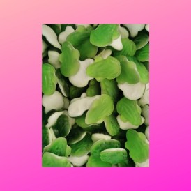 Confiserie gélifiée ventre blanc Marque Haribo Grenouille gélifi verte